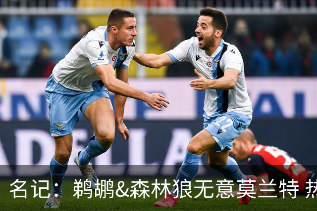 名记：鹈鹕&森林狼无意莫兰特 热火也不急于尝试其与字母哥的搭档