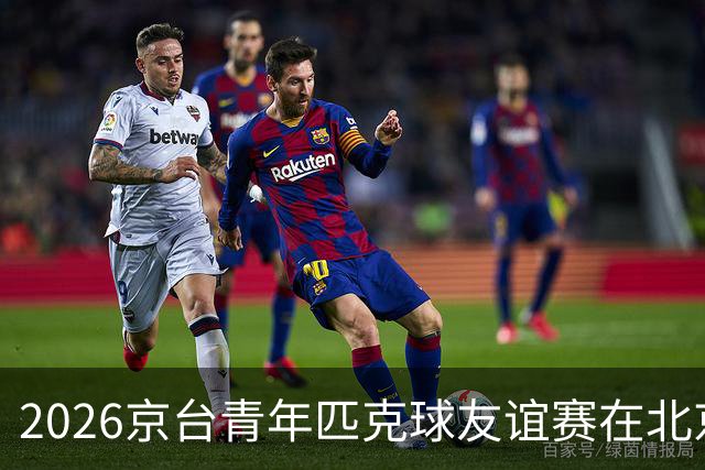 2026京台青年匹克球友谊赛在北京举办