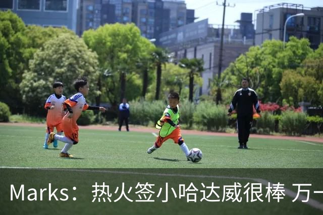 Marks：热火签小哈达威很棒 万一詹姆斯说给我600万我想回迈阿密